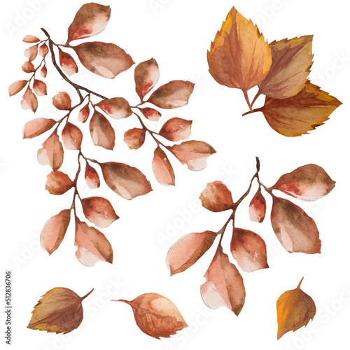 set of dead leaves on a branch, autumn dry leaves watercolor illustration