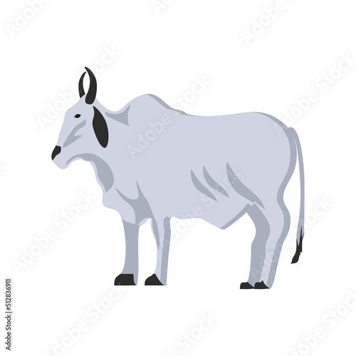 cow animal icon