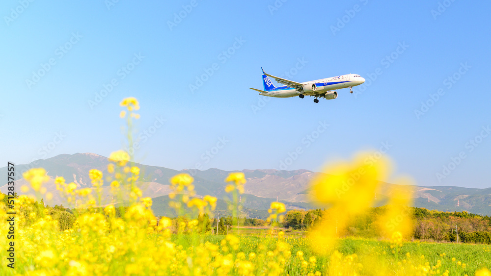 飛行機「春空・菜の花畑・航空機風景」 Airplane 