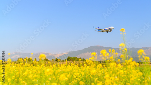 飛行機「春空・菜の花畑・航空機風景」
Airplane 