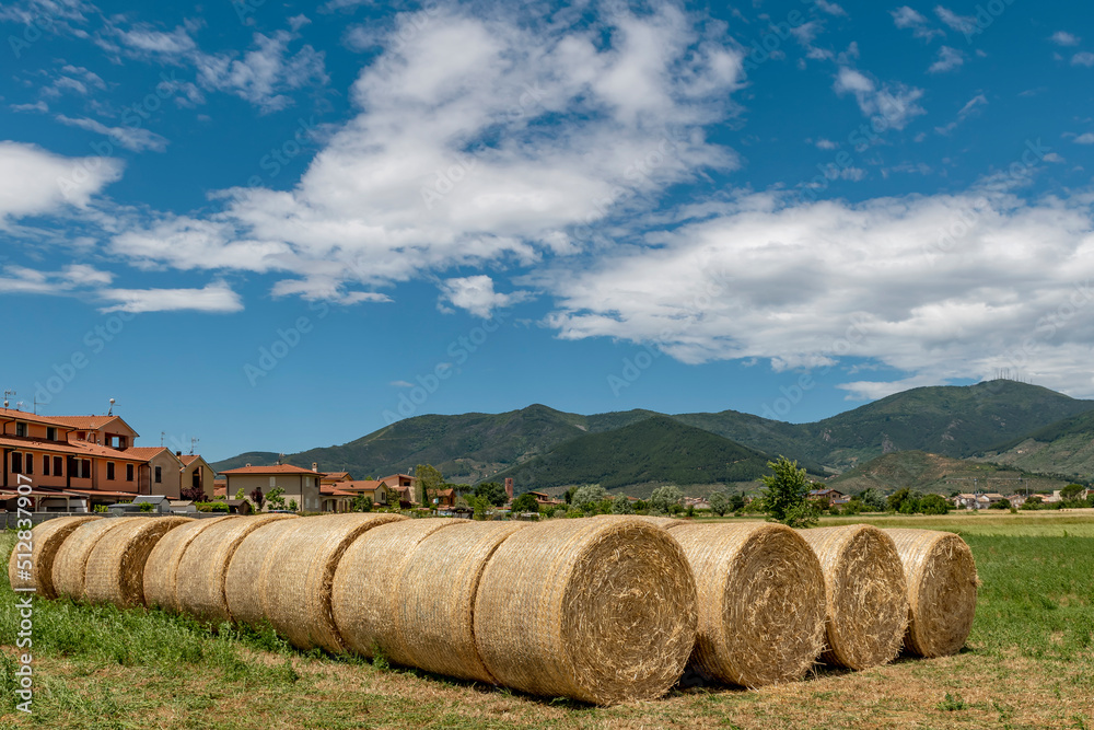 Round hay bales are lined up in a field with Bientina, Pisa, Italy in the background