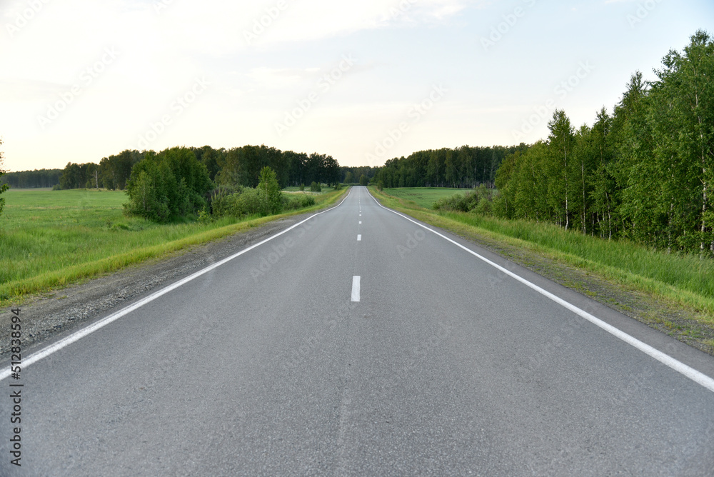 Direct high-speed asphalt highway in the forest Direct high-speed asphalt highway in the forest