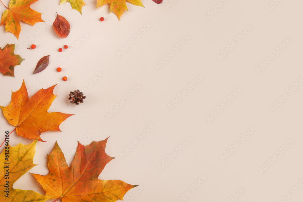 Frame of colorful red and yellow autumn leaves with cones and rowan berries on trendy beige background. First day of school, back to school, fall concept. 