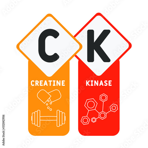 CK Creatine Kinase acronym. business concept background.  vector illustration concept with keywords and icons. lettering illustration with icons for web banner, flyer, landing pag