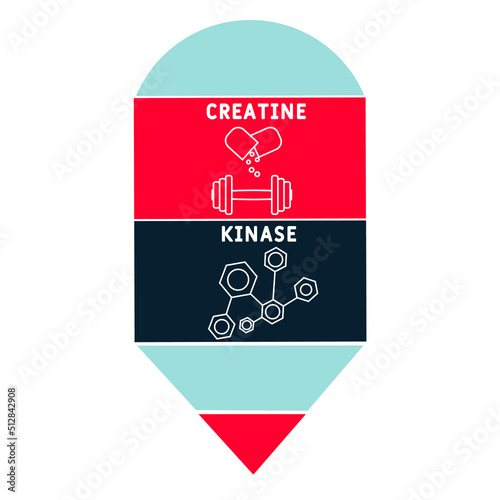 CK Creatine Kinase acronym. business concept background.  vector illustration concept with keywords and icons. lettering illustration with icons for web banner, flyer, landing pag