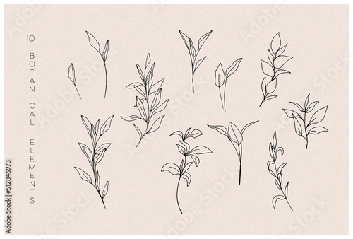 Botanical Line Drawing Flowers and Plants Sketch collection. Modern Line Art. Outline Minimalist Floral Elements For Logo, Wall Art, Poster, Print, T-shirt design, Tattoo, Cover, Postcard.