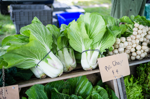 Pac Choi from Beetlebung farm photo