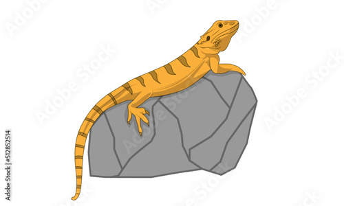 lizard bearded dragon reptile pet isolated vector illustration lizard on white background