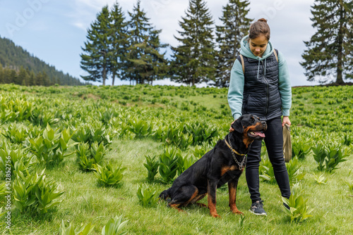 Teenage girl stands with leash in hands next to dog of Rottweiler breed in meadow, against background of fir trees