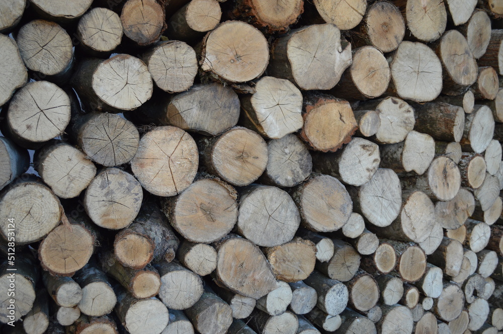 woodpile, woodpile, interesting background