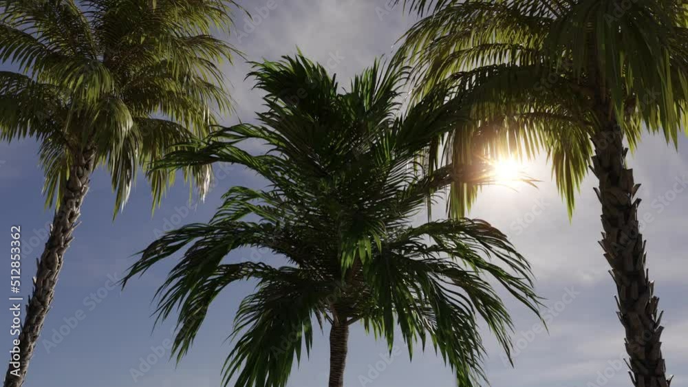 Coconut palm trees in sunshine. 3d animated background. Seamless loop. Coconut palm trees in sunshine. 3d animated background. Seamless loop.