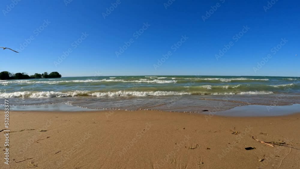 Waves washing upon sand beach under clear blue sky, with seagull flying in summer. Waves washing upon sand beach under clear blue sky, with seagull flying in summer.