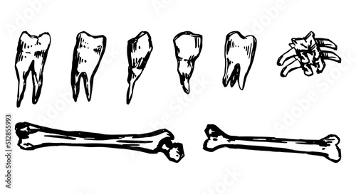 Teeth and bones set, spooky occult items doodles. Halloween hand drawn vector illustration in retro style. Dark theme ink sketches collection isolated on white.