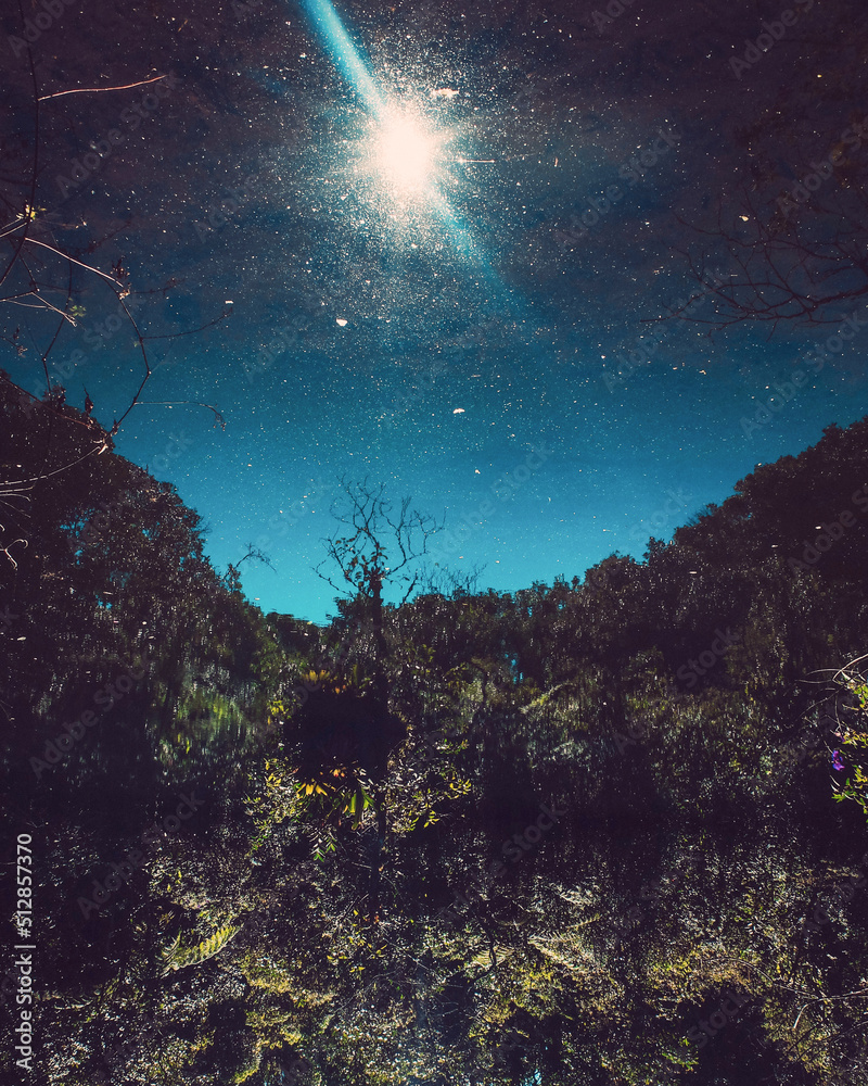 scene with stars scene with stars