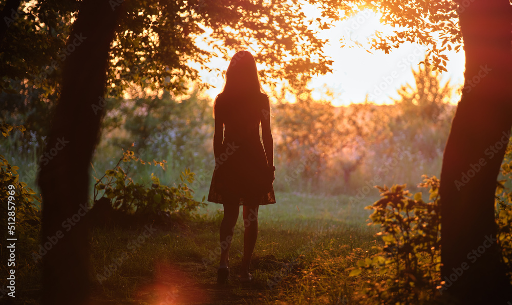 Fototapeta premium Rear view of young woman in walking alone through dark woods at bright sunset. Nature exploration concept