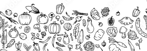 Delicious vegetables. Garden fruits. Edible food plants. Bottom border at edge. Hand drawn outline. Continuous seamless picture. Monochrome drawing. Isolated on white background. Vector