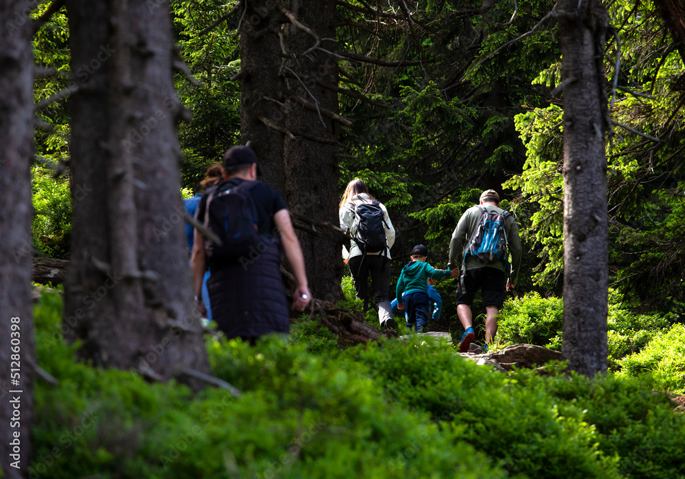 Tourists hiking at nature green forest mountain trail. Tourists hiking at nature green forest mountain trail.