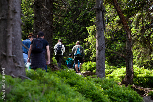 Tourists hiking at nature green forest mountain trail.