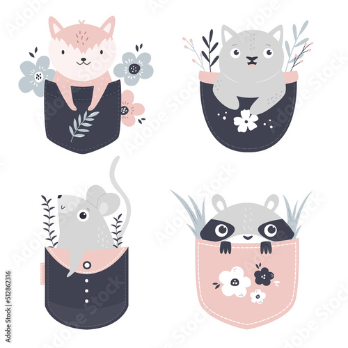 Vector illustrations of a cute raccoon, fox, cat and mouse sitting in little pockets