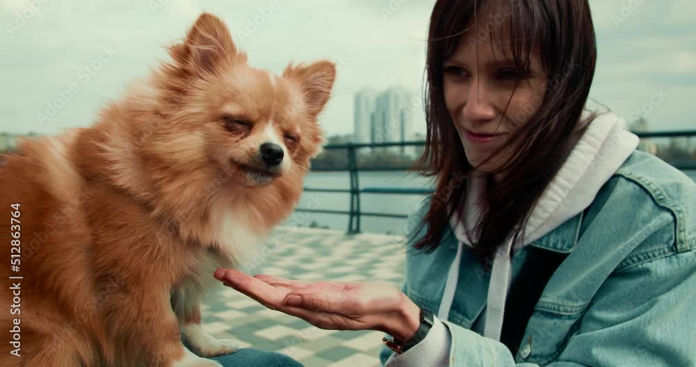 Young woman play with pomeranian mini spitz in spring city park, slow motion. Young woman play with pomeranian mini spitz in spring city park, slow motion.