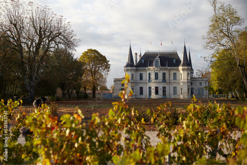 Château Palmer, Margaux photo