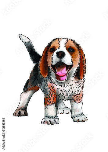 Radosny pies beagle.