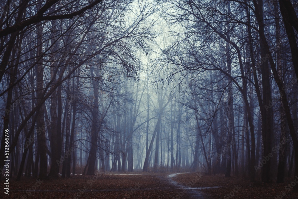 Mystical Strange forest in a fog with red leaves. Background mystic atmosphere. Dark mysterious park. Scary forest with red flowers lit by moon. Fairy Forest. Paranormal another world. Dark wood. Mystical Strange forest in a fog with red leaves. Background mystic atmosphere. Dark mysterious park. Scary forest with red flowers lit by moon. Fairy Forest. Paranormal another world. Dark wood.