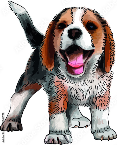 Uśmiechnięty pies rasy beagle.