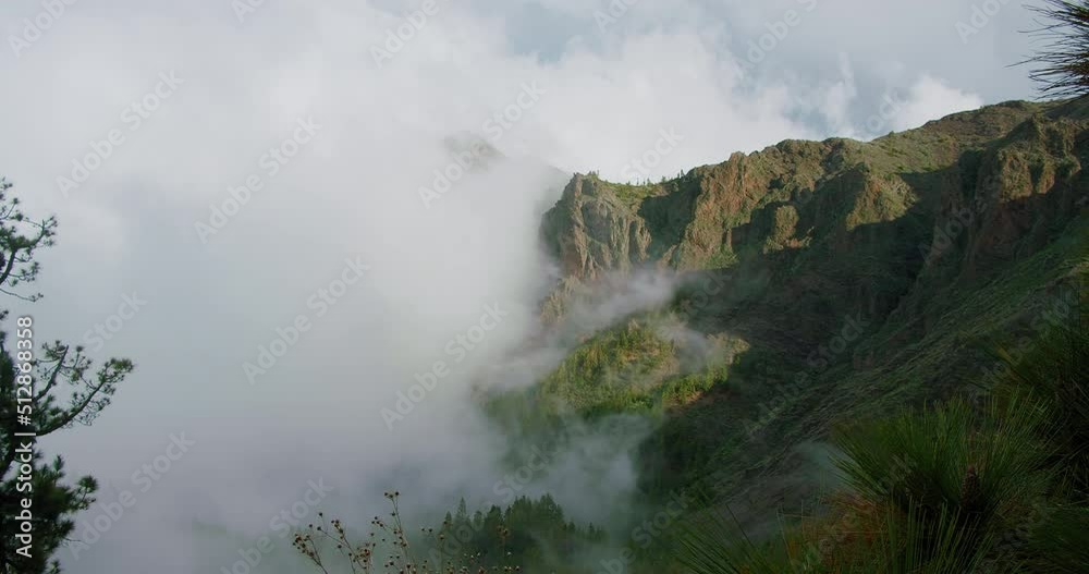 Moody weather in mountains. Misty fog blowing over pine tree forest and range of mountains. Spruce forest trees on the mountain hills at misty day. Slow motion. Moody weather in mountains. Misty fog blowing over pine tree forest and range of mountains. Spruce forest trees on the mountain hills at misty day. Slow motion.
