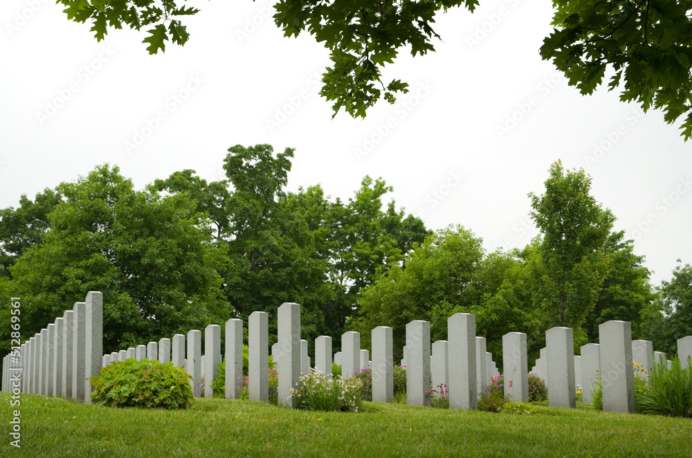 Military Tombstones with Flowers Viewed in Diagonal