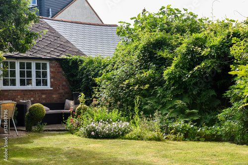 Konstfotografi Domestic back garden or yard with flower beds and grass lawn and pot plants