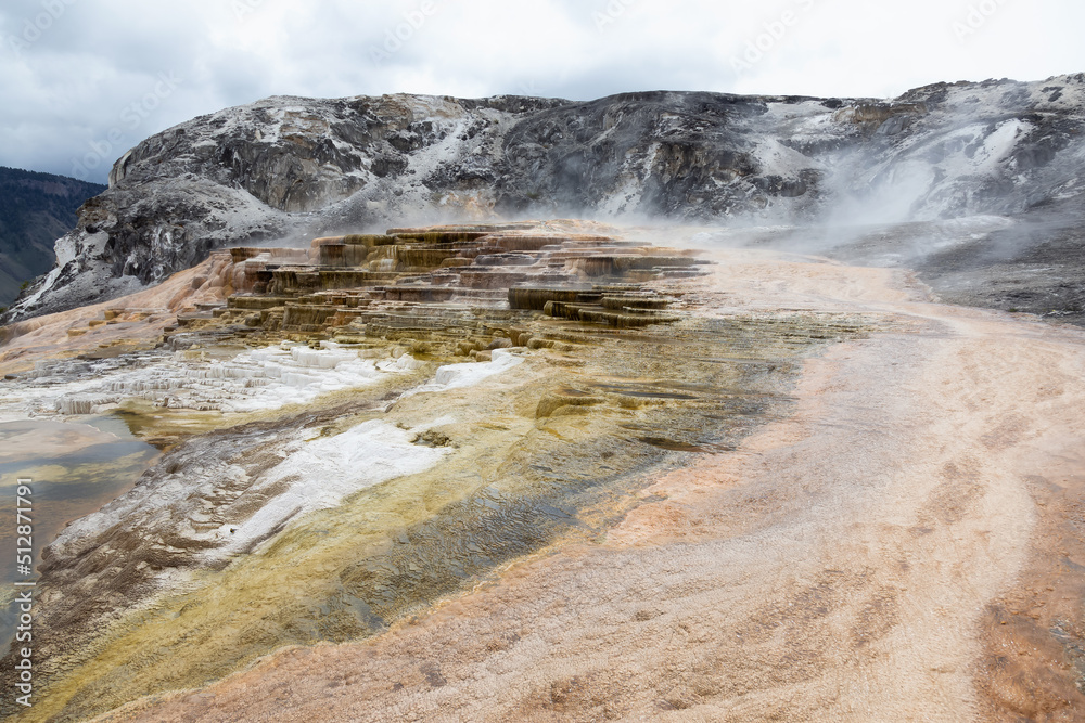 Hot Spring Landscape with colorful ground formation. Mammoth Hot Springs, Yellowstone National Park, Wyoming, United States. Nature Background.