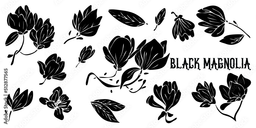Black silhouettes of magnolia flowers isolated on white background. Hand drawn vector illustration for wedding invitations, greeting cards and witchcraft Black silhouettes of magnolia flowers isolated on white background. Hand drawn vector illustration for wedding invitations, greeting cards and witchcraft