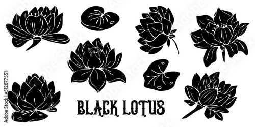 Black silhouettes of lotus flowers isolated on white background. Hand drawn vector illustration for wedding invitations  greeting cards and witchcraft