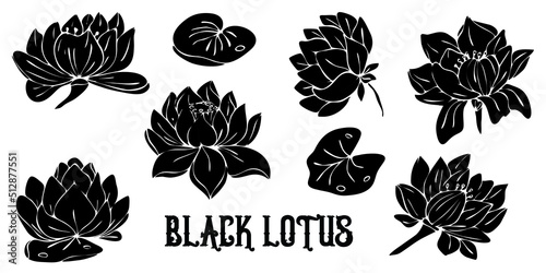 Black silhouettes of lotus flowers isolated on white background. Hand drawn vector illustration for wedding invitations, greeting cards and witchcraft