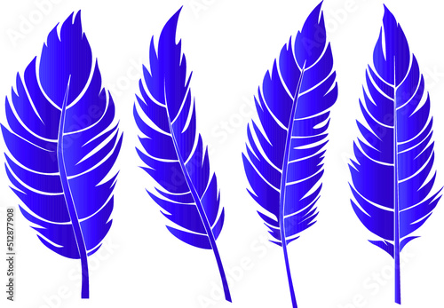 feather isolated  vector drawing silhouette hand drawing sketch bird single feather outline