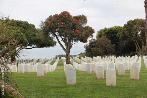 Graves, Fort Rosecrans National Cemetery photo