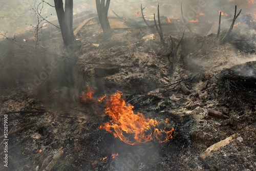 Photography Burning of illegal landfill. Smoke and fire. Fire in street.