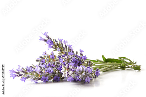 Bouquet of lavender spikes in bloom on white table isolated