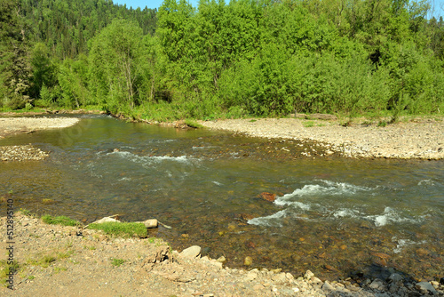 A small turbulent river with rocky banks flowing through a forest surrounded by mountains on a clear summer day.