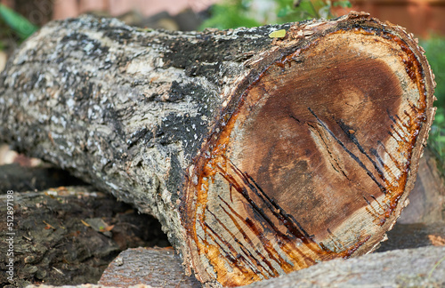 stack of firewood photo