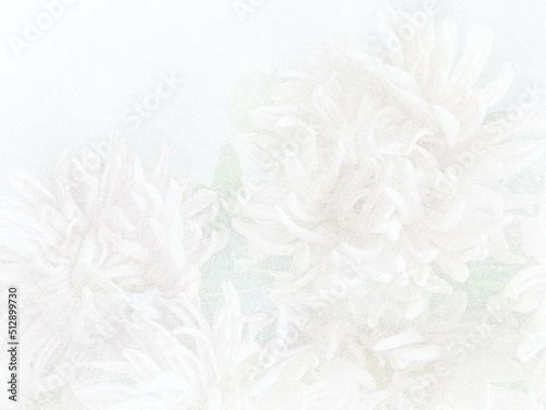 Stippling art. White chrysanthemum. Floral background in dotwork style.