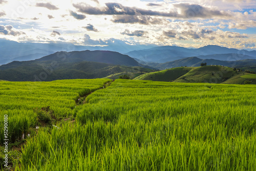 Beautiful scenery of Ban Pa Pong Piang,Mae Chaem,Chiang Mai province,Northern Thailand.