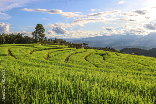 Beautiful scenery of Ban Pa Pong Piang,Mae Chaem,Chiang Mai province,Northern Thailand.