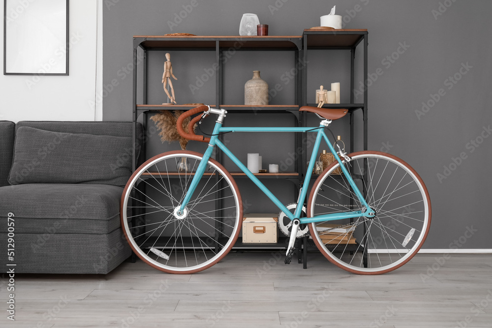 Modern bicycle near shelving unit in living room