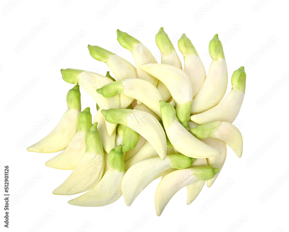 Pile of white Sesban, Agasta flower, Vegetable humming bird (Sesbania grandiflora (L.) Pers) on white background Pile of white Sesban, Agasta flower, Vegetable humming bird (Sesbania grandiflora (L.) Pers) on white background