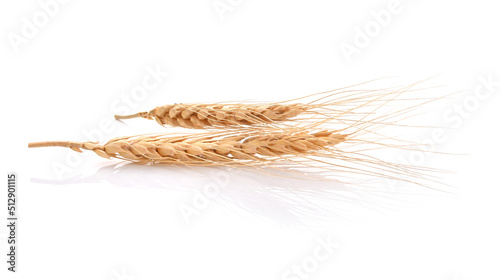 Two barley grains on white background
