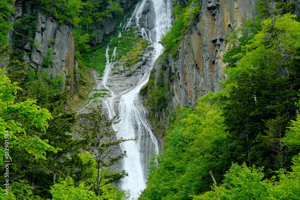 美しい銀河の滝