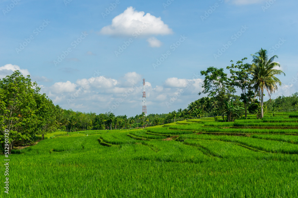 panoramic view of the agricultural sector and communication towers in Indonesia