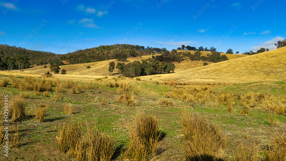 Tussock and Rolling Hills Around Mt Adrah in NSW